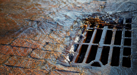 Strata Drain Cleaning in the Surrey, vancouver lower mainland area