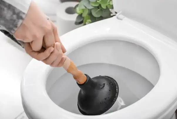 Pricing Rates - Transparent Plumbing & Drain cleaning Pricing in Surrey Vancouver BC : Clogged Toilets cleaning