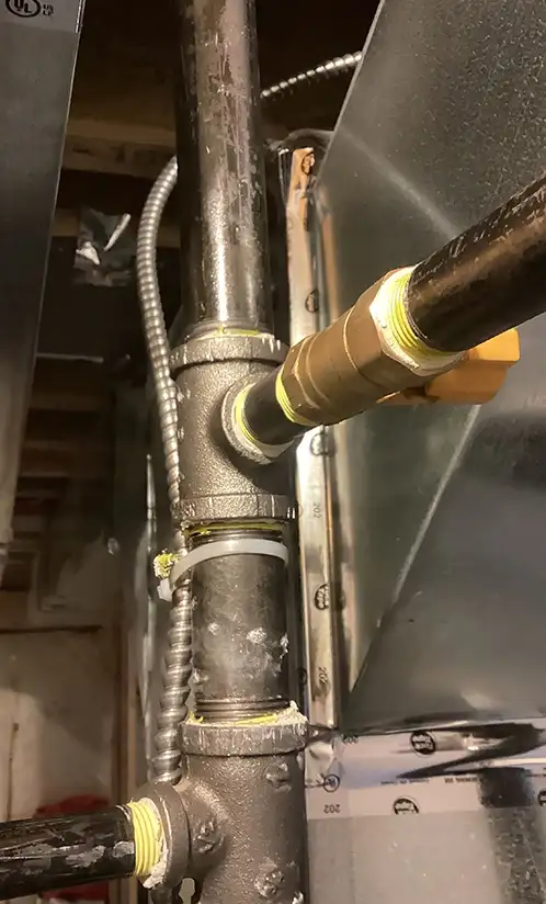 polyb-replacement