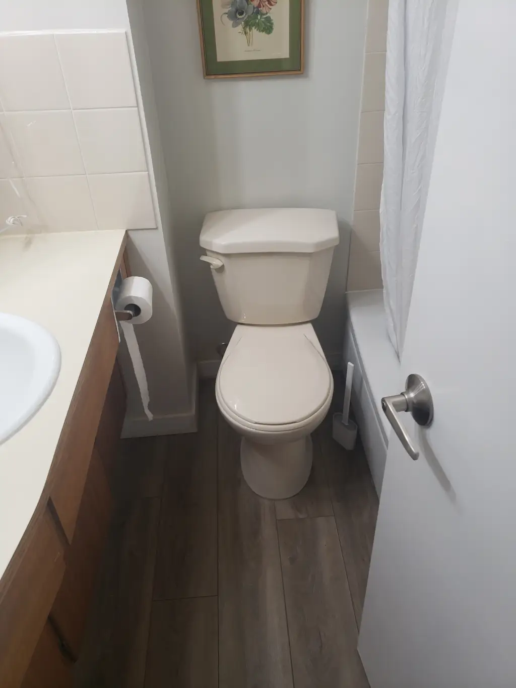 Stefano's Plumbing & Drain Cleaning photo 1