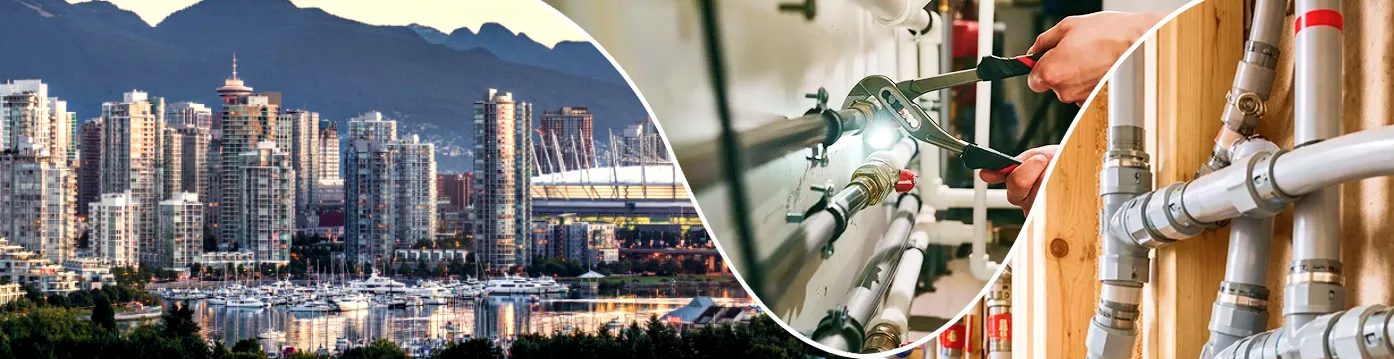 HOW MUCH DOES POLY B REPLACEMENT COST in Langley BC