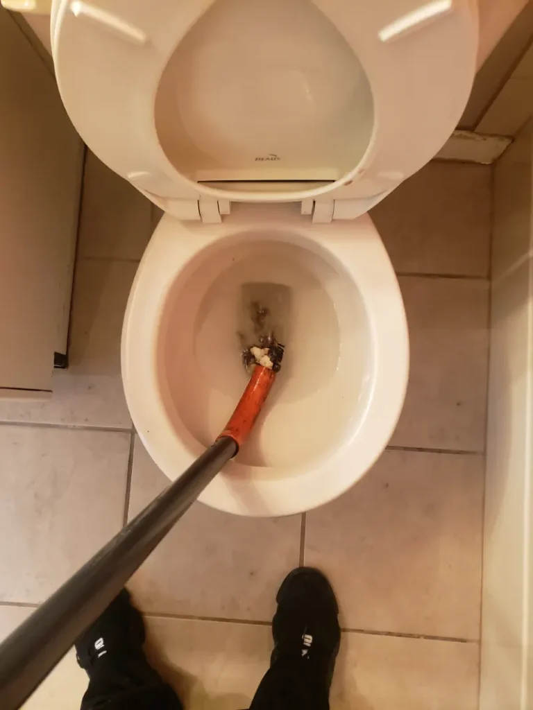 Toilet Drain Cleaning